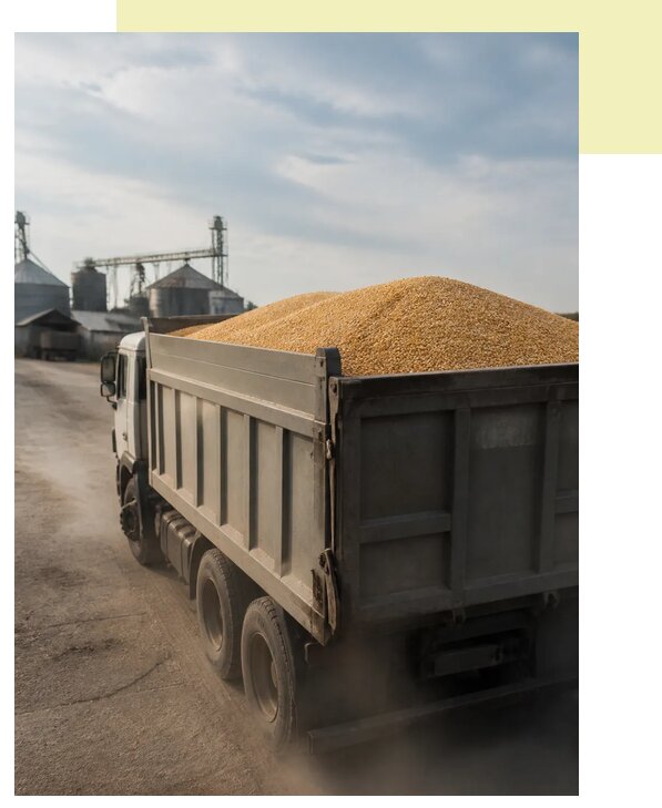 Перевозка сельхозпродукции навалом в Сердобск по цене от 3033 р. | Агросервис-Срд